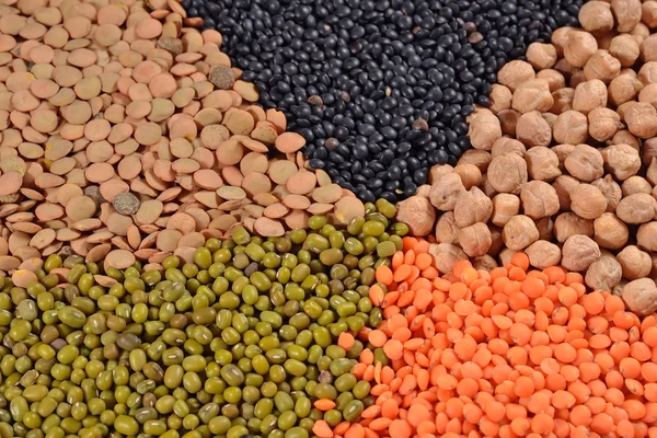 Mixture of dried lentils and beans — Stock Photo, Image