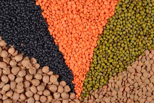 Mixture of dried lentils and beans — Stock Photo, Image