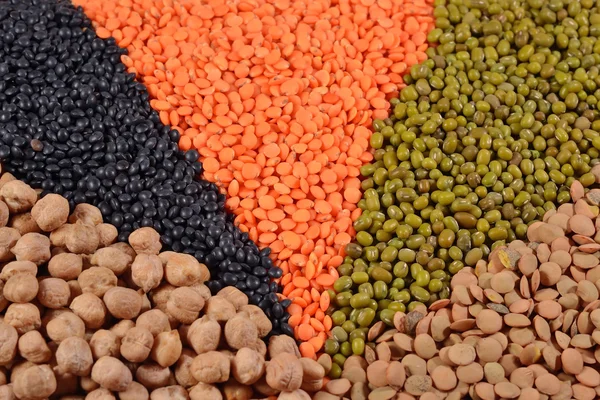 Mixture of dried lentils and beans — Stock Photo, Image