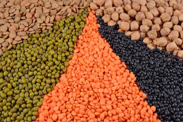 kurutulmuş mercimek ve fasulye