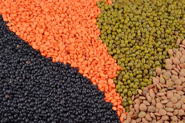 Mixture of dried lentils and beans — Stock Photo, Image