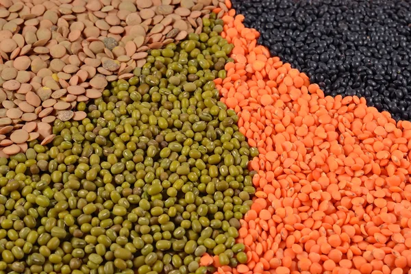 Mixture of dried lentils and beans — Stock Photo, Image