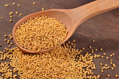 White mustard seeds in a spoon
