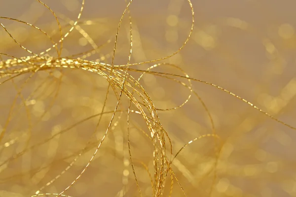 Goldene Fäden schließen uns selektiven Fokus — Stockfoto