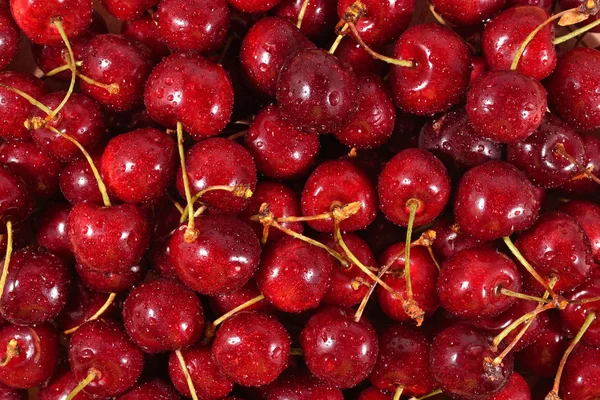 Kırmızı kiraz arkaplanı