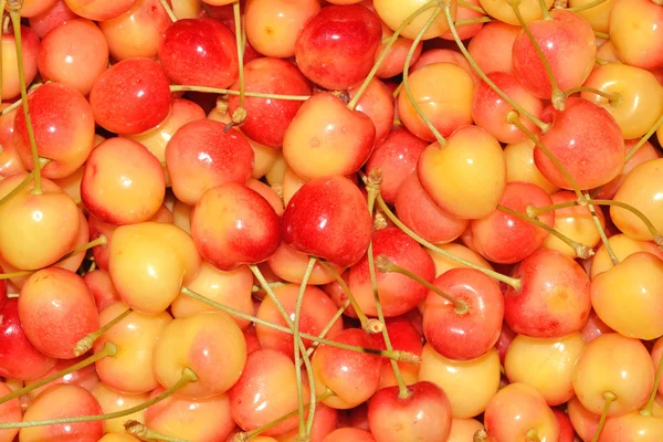 Latar belakang cherry kuning — Stok Foto