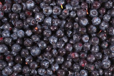 yaban mersini meyve arka plan 