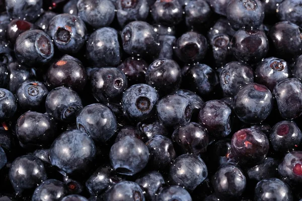 Blueberries fruit close up — Stock Photo, Image