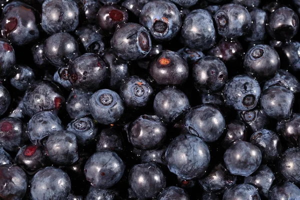 Blueberries fruit background — Stock Photo, Image