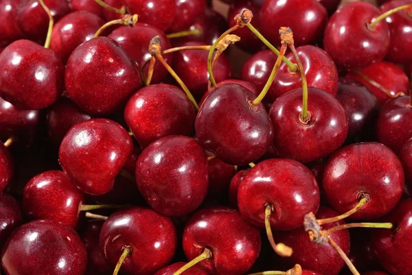 Red cherries close up — Stok Foto