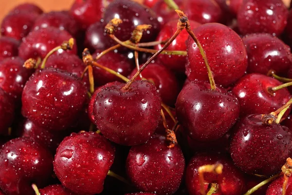 Red cherries close up — Stok Foto