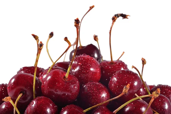 As cerejas vermelhas fecham em um branco — Fotografia de Stock