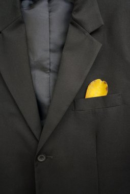 Ekoloji kavramı, işadamı sarı yaprak cebinde tutuyor.