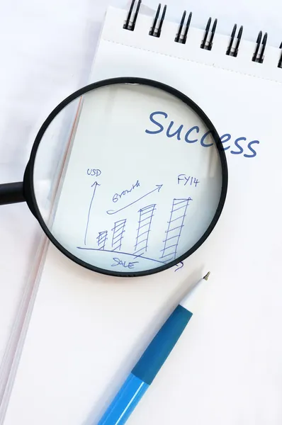 Concepto de negocio: pluma, cuaderno, diagramas, lupa, éxito . —  Fotos de Stock