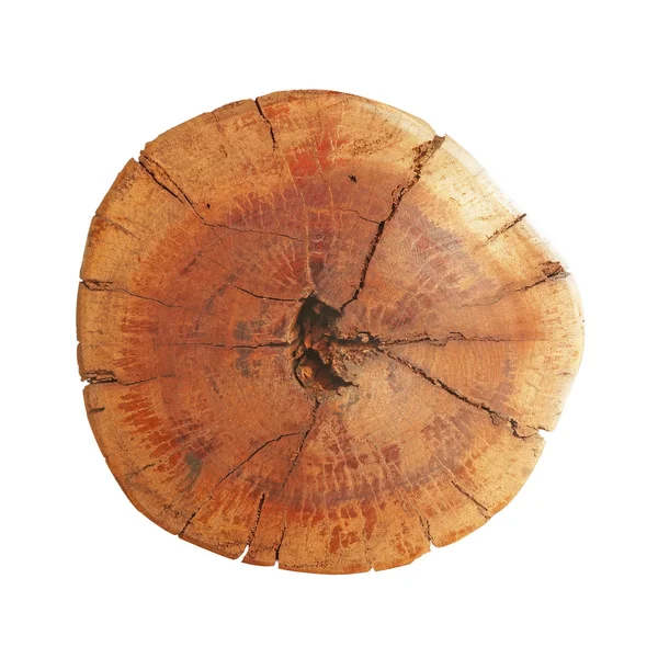 Sezione trasversale del tronco d'albero che mostra anelli di crescita su sfondo bianco — Foto Stock