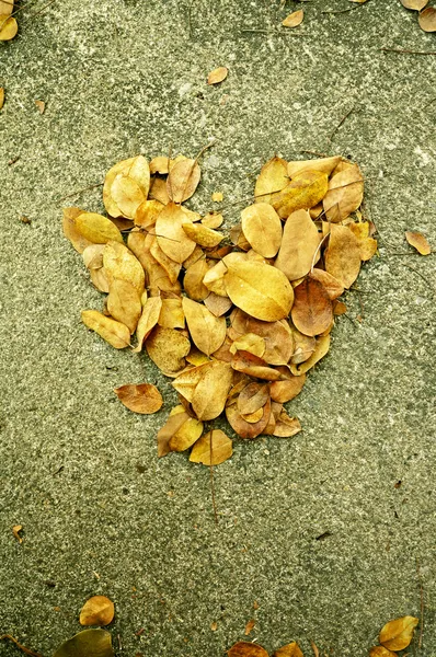 Dry leave in shape of a heart — Stock Photo, Image