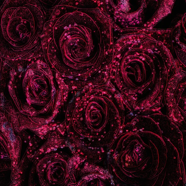 Rosen umreißen — Stockfoto