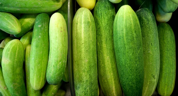 Fresh green cucumber collection outdoor on market macro — Stock Photo, Image