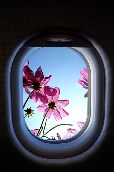 Flugzeugfenster mit Blumen draußen, Urlaubskonzept. — Stockfoto