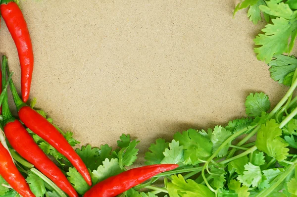 Coriander and red chili border — Stock Photo, Image