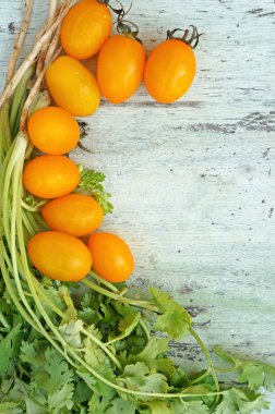 corainder ve tomaotes çerçeve