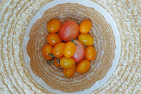 Skördat tomater i bondens hatt — Stockfoto