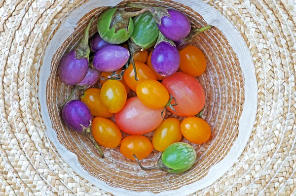 Красочные собранные помидоры в фермерской шляпе — стоковое фото