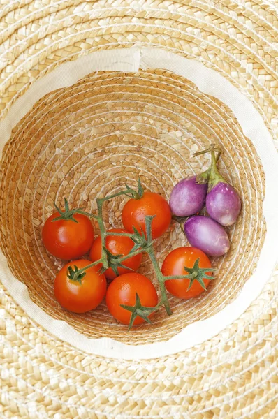 Pomodori raccolti in cappello da contadino — Foto Stock