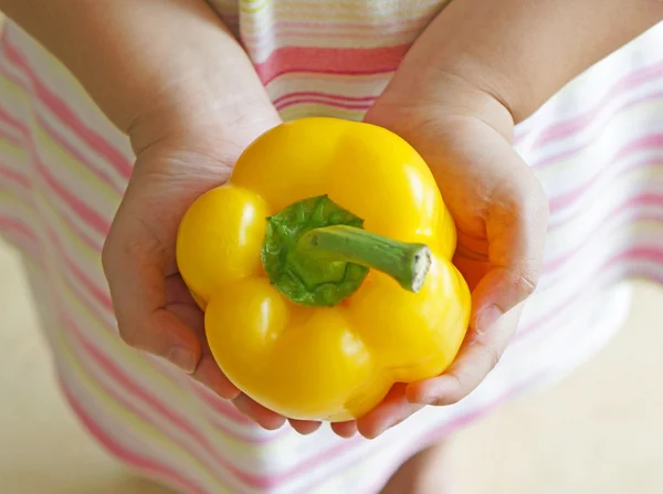 Mano tenuta giallo peperone campana — Foto Stock