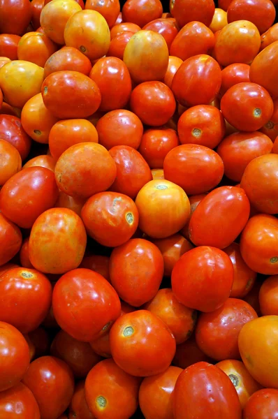 Grupp av färska tomater — Stockfoto