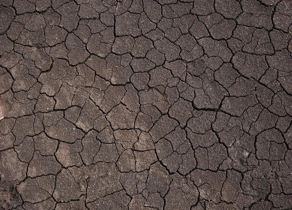 Suchá půda na zemi — Stock fotografie
