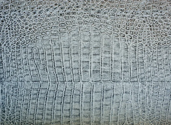 Crocodile texture — Stock Photo, Image