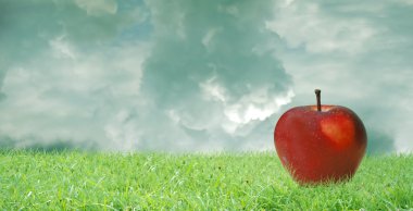 뒤에 무거운 구름과 함께 푸른 잔디에 빨간 사과piros alma, zöld fű, nehéz felhő mögé.