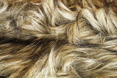 arka plan veya doku görüntü yakın up kürk