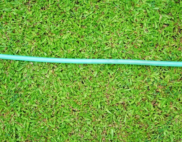 Закрыть резиновую трубку на зеленой траве — стоковое фото
