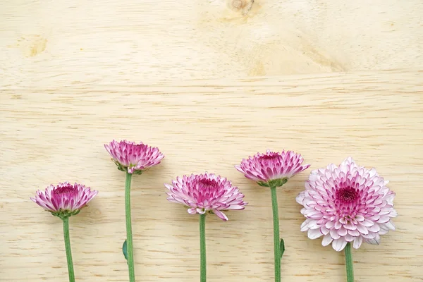 Dřevěný stůl, květy fialové gerbera — Stock fotografie