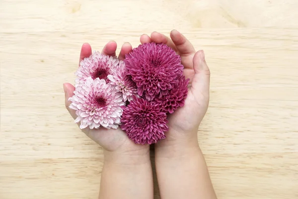 Purple flowers in children hands — Stock Photo, Image