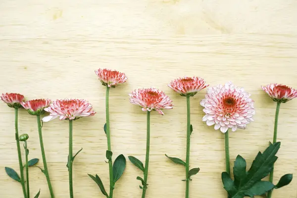 Flores sobre fondo de madera — Foto de Stock