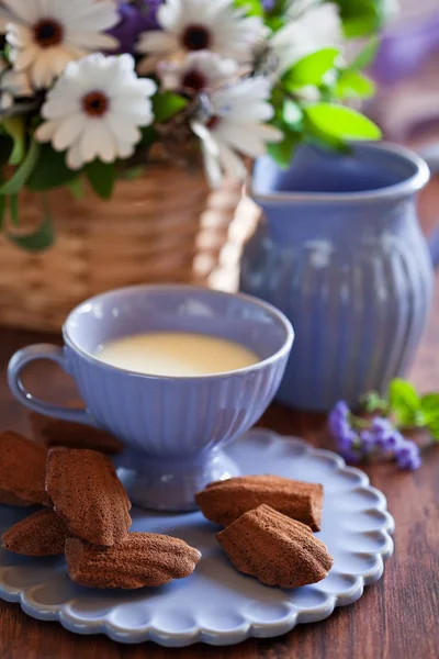 Chocolate madeleine cookies with lavender and lemon — Stock Photo, Image