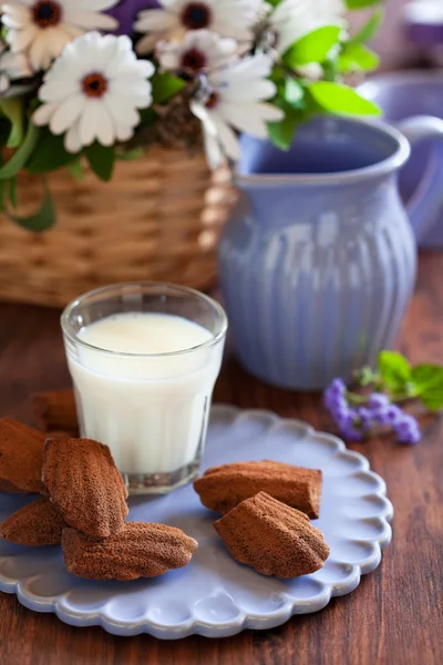 Chocolade madeleine cookies met lavendel en citroen — Stockfoto