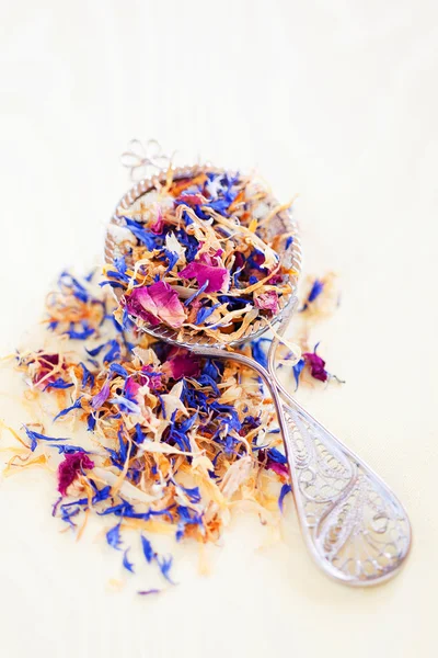 Dried flower petals — Stock Photo, Image