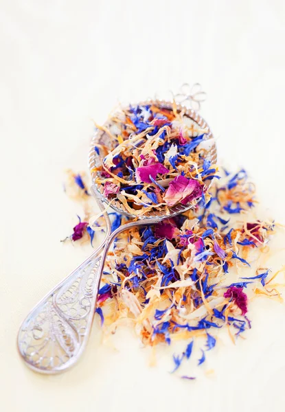 Dried flower petals — Stock Photo, Image