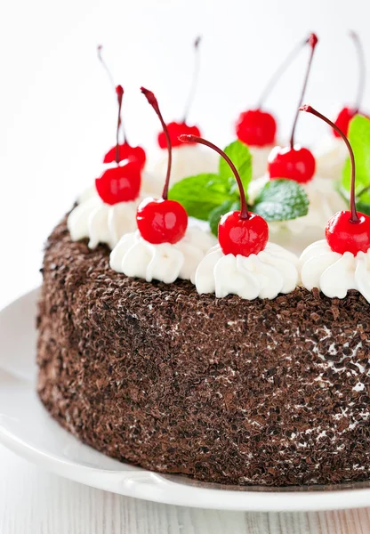 Chocolate cake — Stock Photo, Image