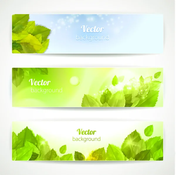 Instellen van vector banners met mooie bladeren. — Stockvector