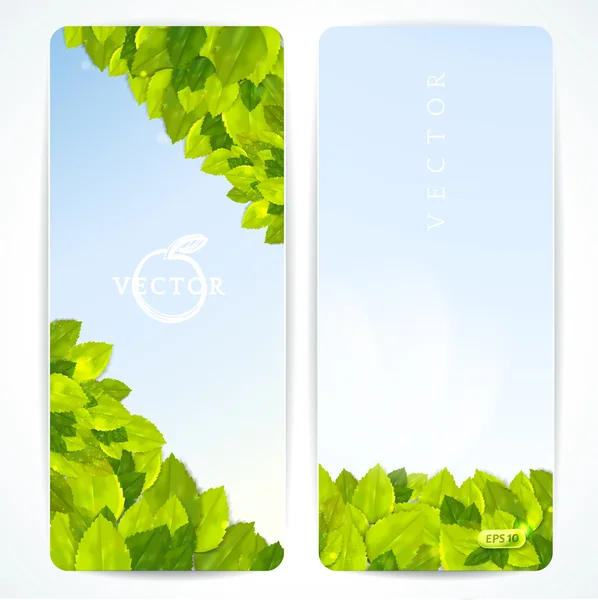 Set of vector banners with beautiful leaves. — Stock Vector