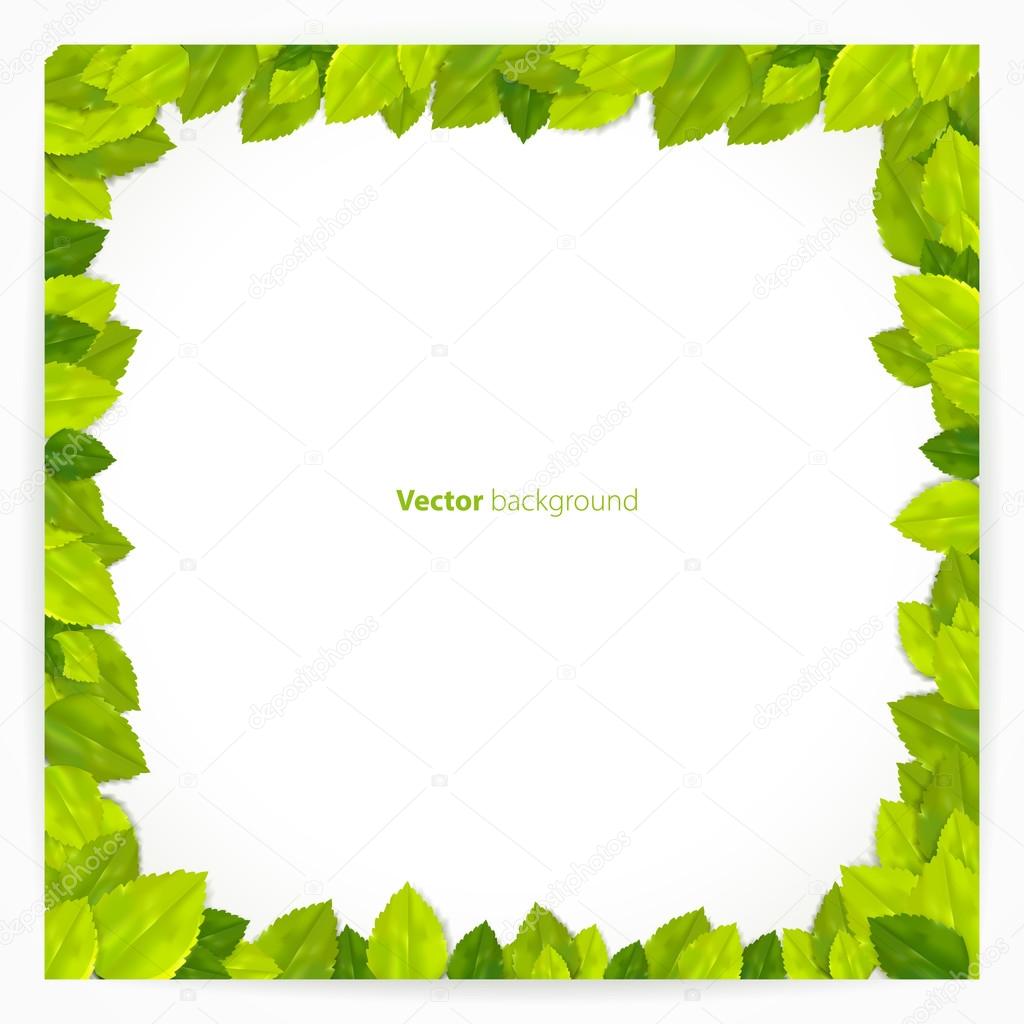 Square frame with green leaves. Vector illustration.