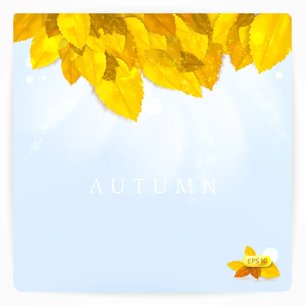 Cartão vetorial com composição elegante de folhas de outono . — Vetor de Stock