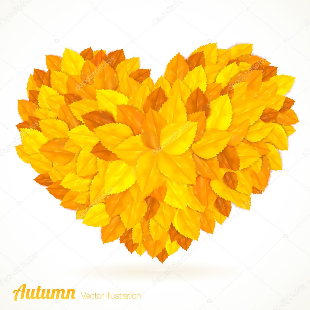Heart symbol in autumn leaves.