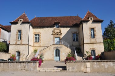 Soulaines-Dhuys (Aube): Kütüphane