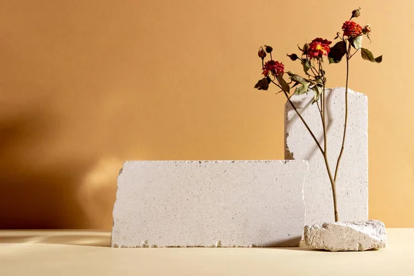 Achtergrond met geometrische vormen van beton voor cosmetische producten. Rechthoekige podia, met gedroogde bloemen en schaduwen op een beige achtergrond. Blanco mockup voor product Stockfoto